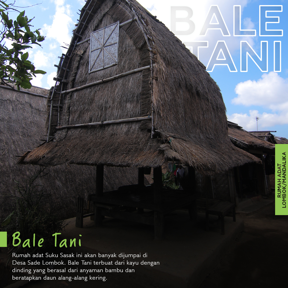 Bale Tani